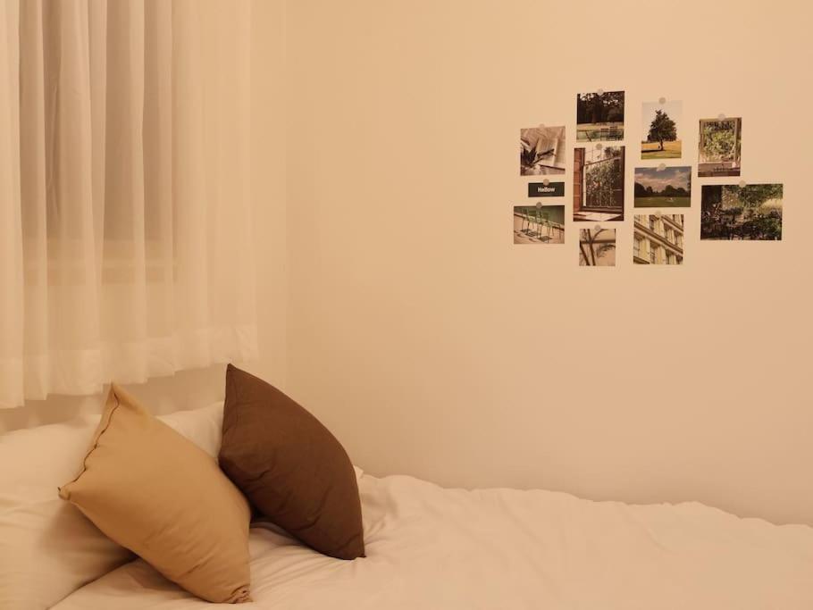 Cozy Dream *